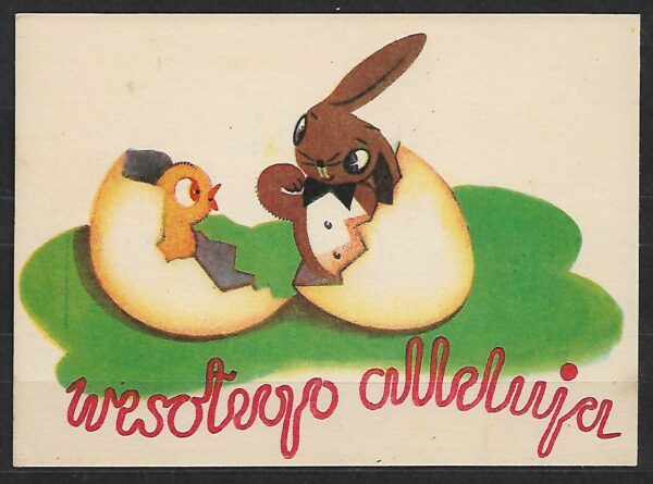 KARTA FI.Cp.107 **ILUSTRACJA 2