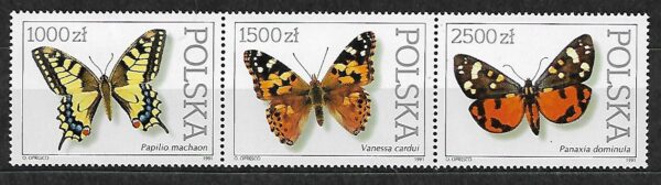 FI.3195-3197-3199**PASEK