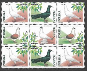 FI.3363-3366**9-BLOK KOMBINACJA
