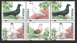 FI.3363-3366**6 BLOK KOMBINACJA