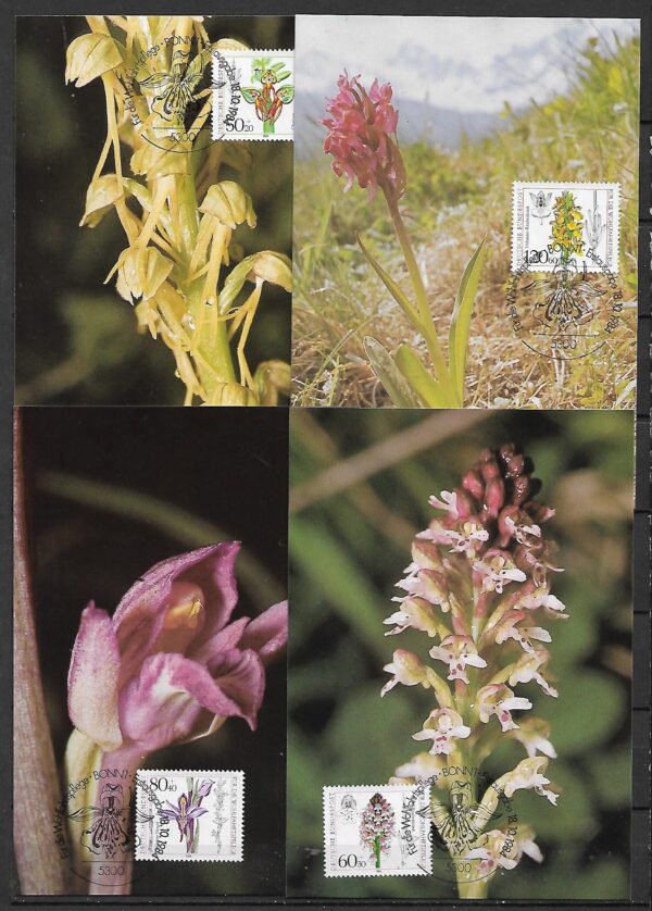 ORCHIDEA RFN MI1225-1228 NA KARCIE MAXIMUM