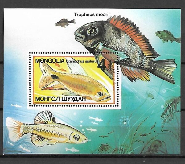 RYBY MONGOLIA MI.BL.118**