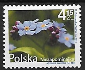 FI.4339**
