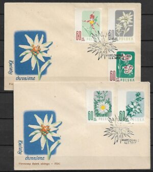 FDC FI.876-880