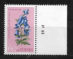 FI.1179**PUTOPOLE Z PRAWEJ STRONY NIE JEST KATALOGOWANY GWARANCJA I OPIS J.WALOCHA