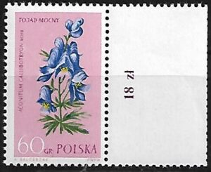 FI.1179**PUTOPOLE Z PRAWEJ STRONY NIE JEST KATALOGOWANY GWARANCJA I OPIS J.WALOCHA