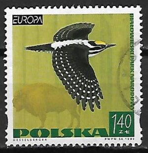 FI.3615 KASOWANY