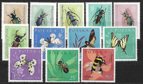 FI.1132-1143**