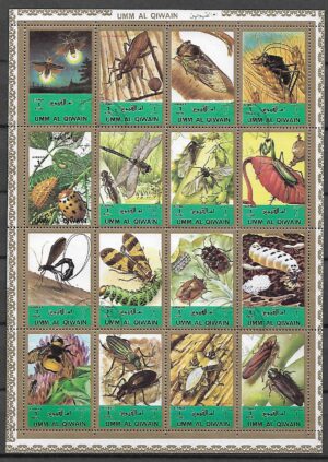 OWADY UMM AL QIWAIN ARK. KASOWANY