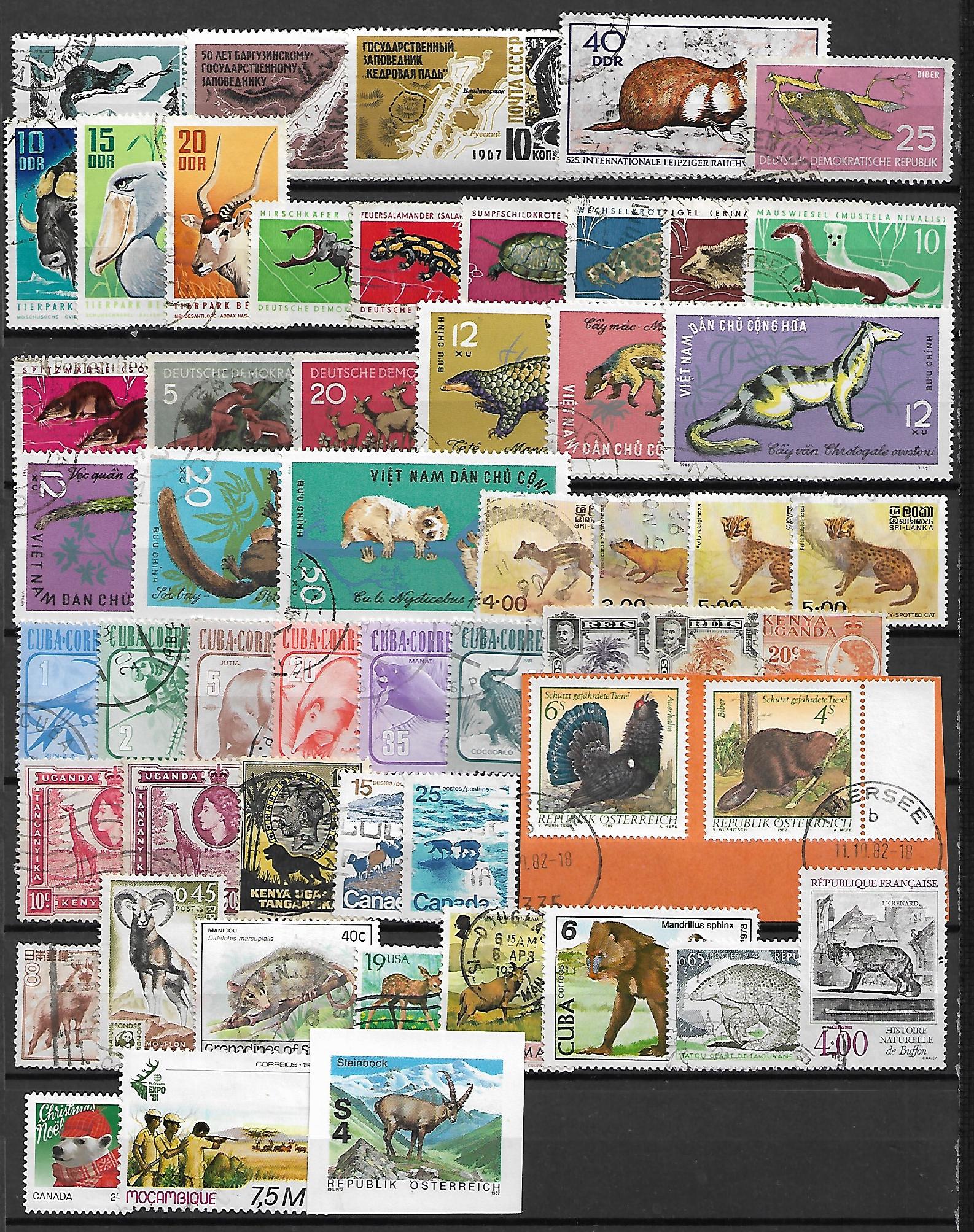 ZESTAW ZNACZKÓW ZWIERZĘTA NR 1