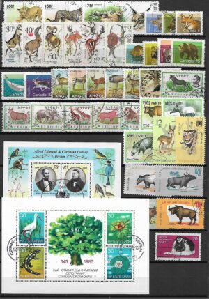 ZESTAW ZNACZKÓW ZWIERZĘTA NR 2