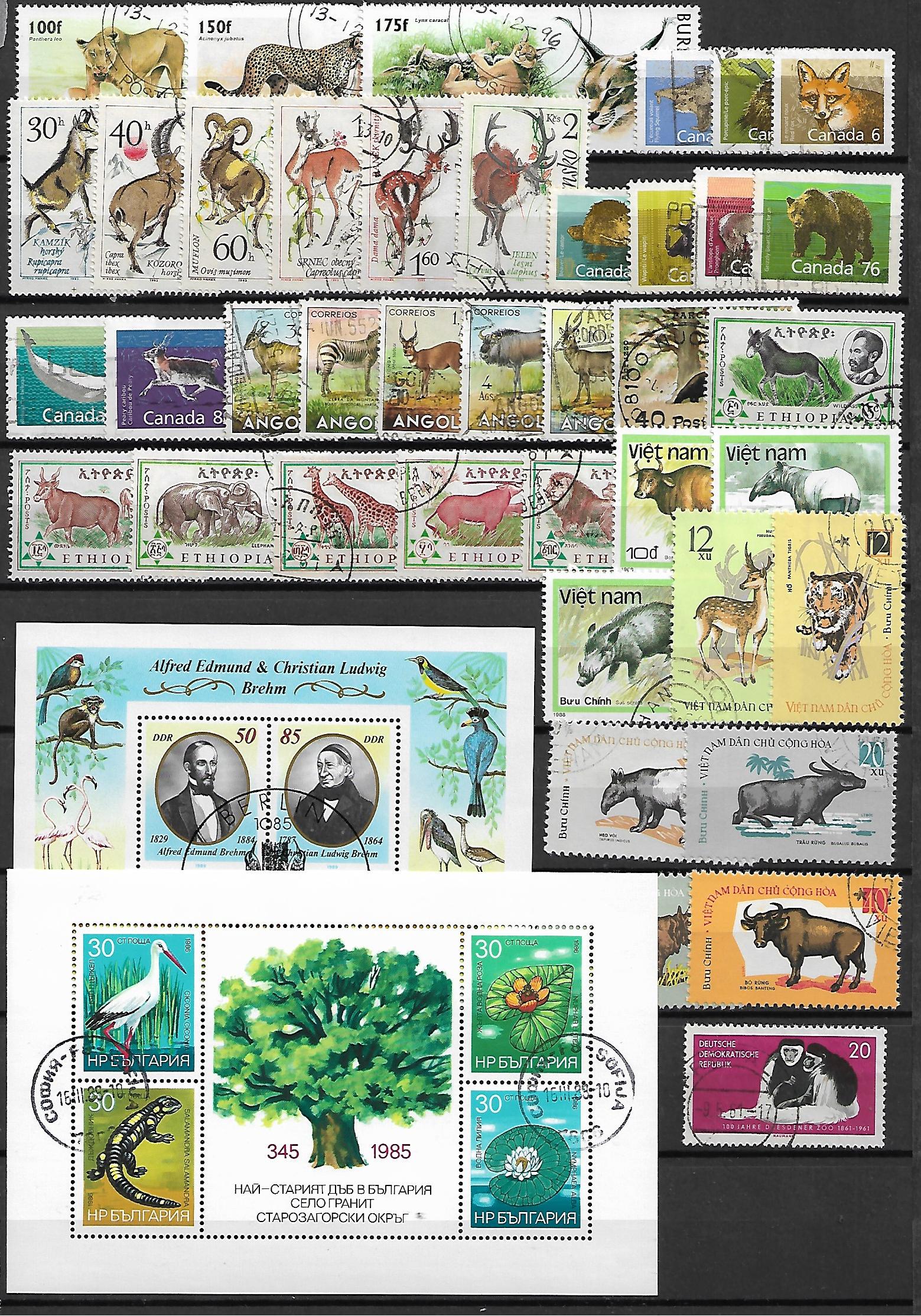 ZESTAW ZNACZKÓW ZWIERZĘTA NR 2