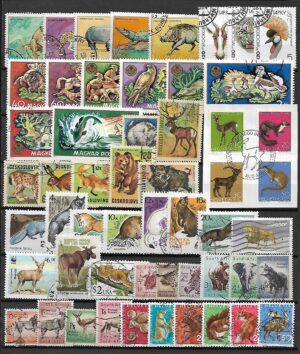 ZESTAW ZNACZKÓW ZWIERZĘTA NR 4