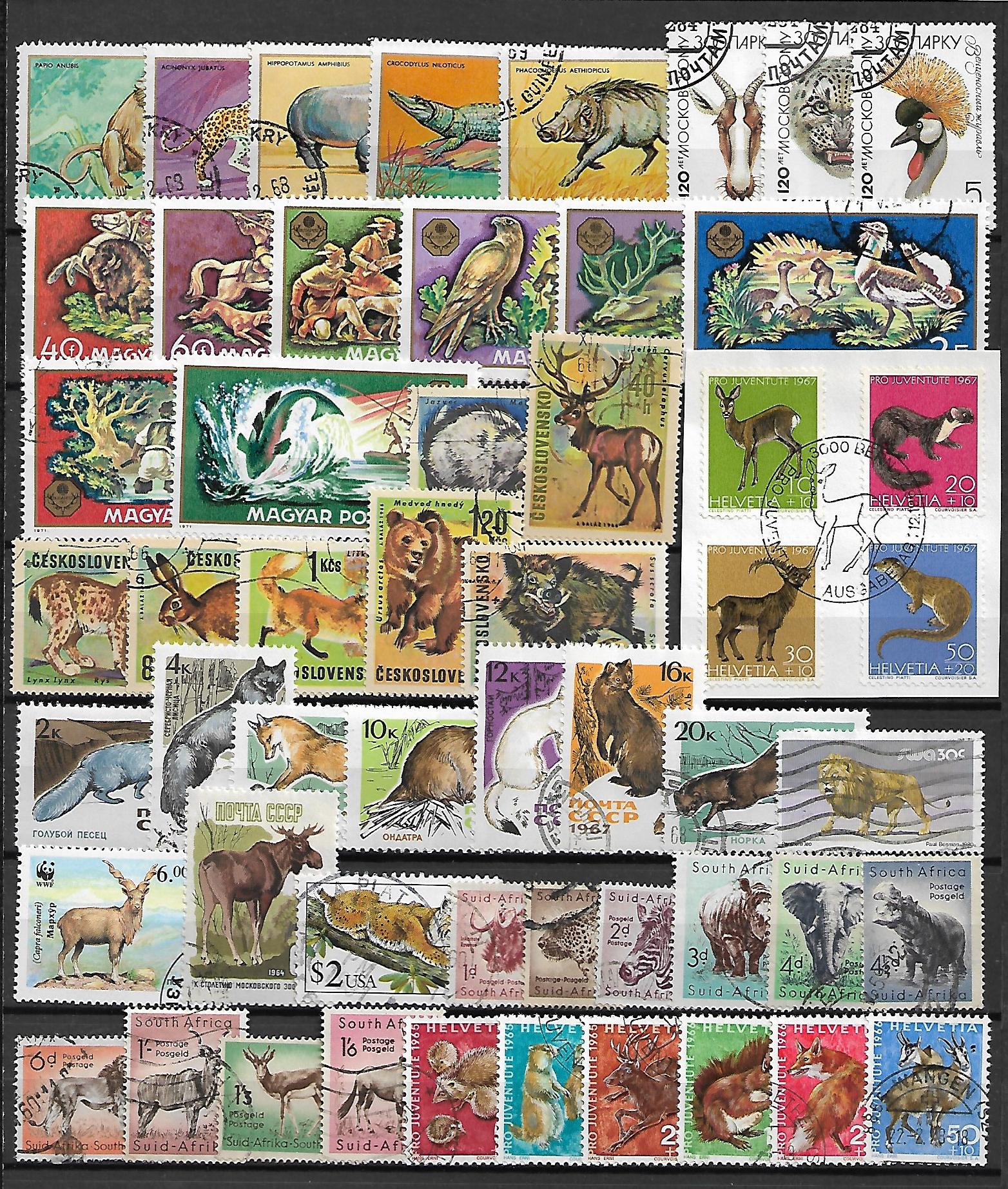 ZESTAW ZNACZKÓW ZWIERZĘTA NR 4