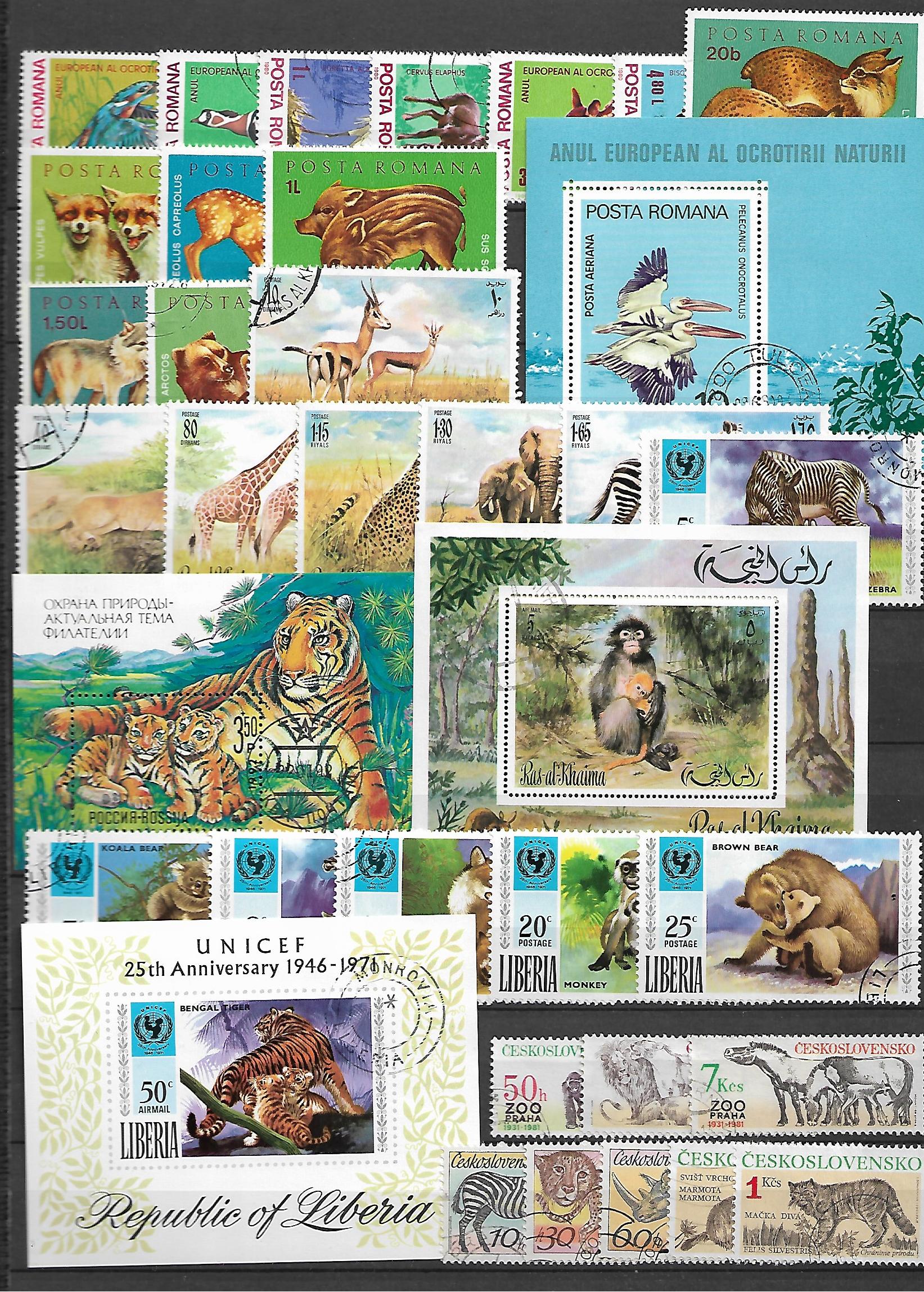 ZESTAW ZNACZKÓW ZWIERZĘTA NR 6