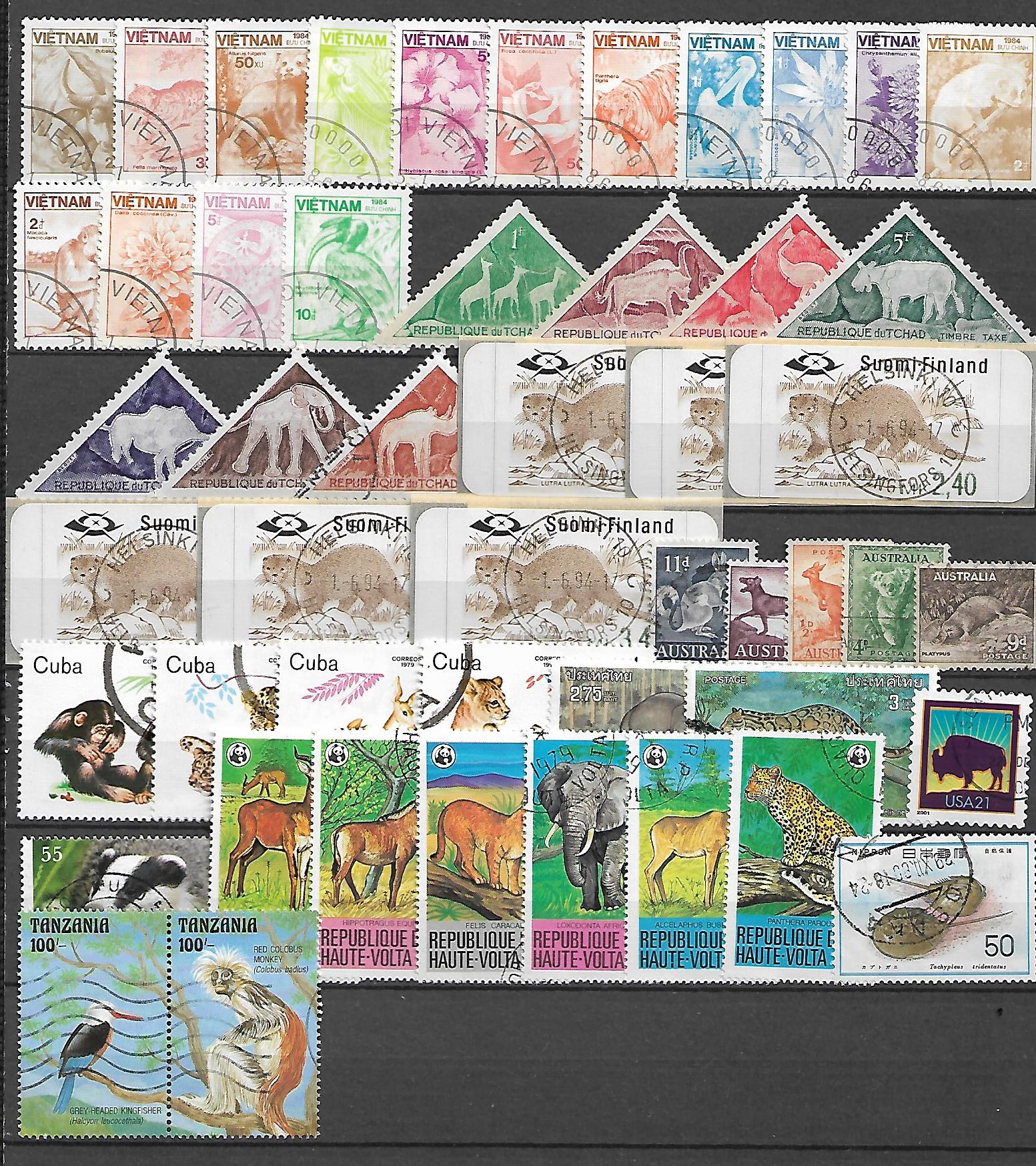 ZESTAW ZNACZKÓW ZWIERZĘTA NR 9