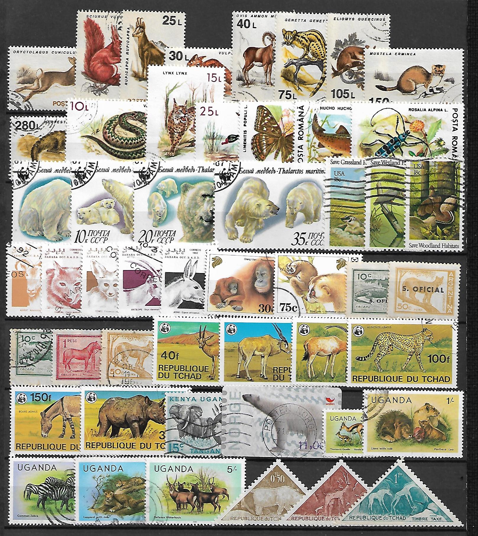 ZESTAW ZNACZKÓW ZWIERZĘTA NR 10