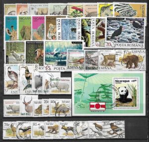 ZESTAW ZNACZKÓW ZWIERZĘTA NR 11