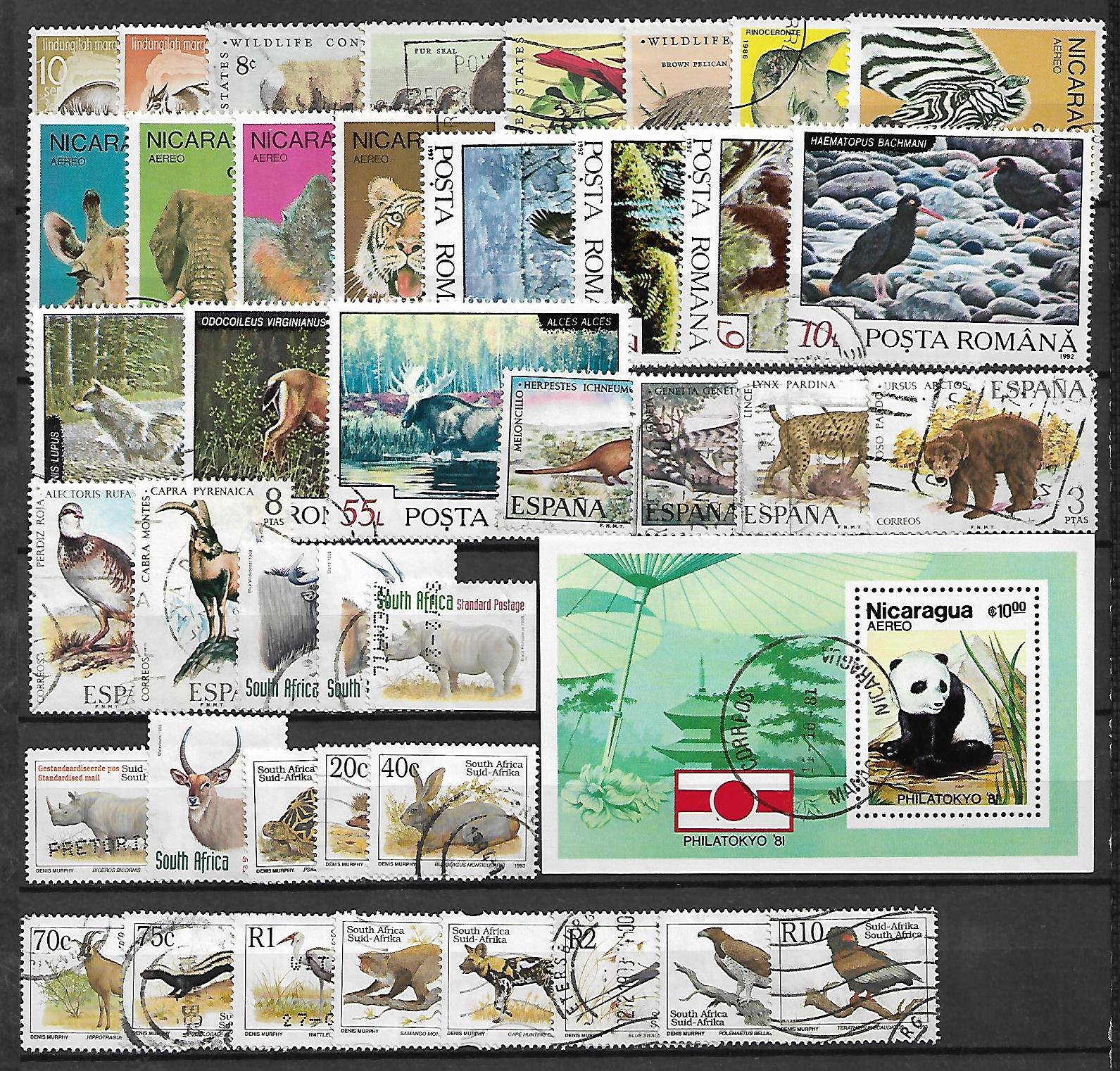 ZESTAW ZNACZKÓW ZWIERZĘTA NR 11