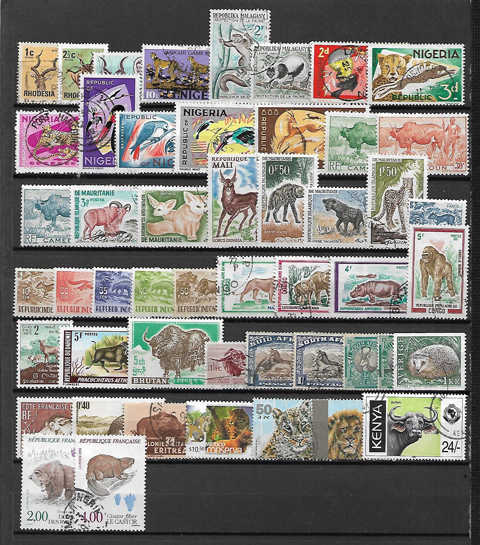 ZESTAW ZNACZKÓW ZWIERZĘTA NR12