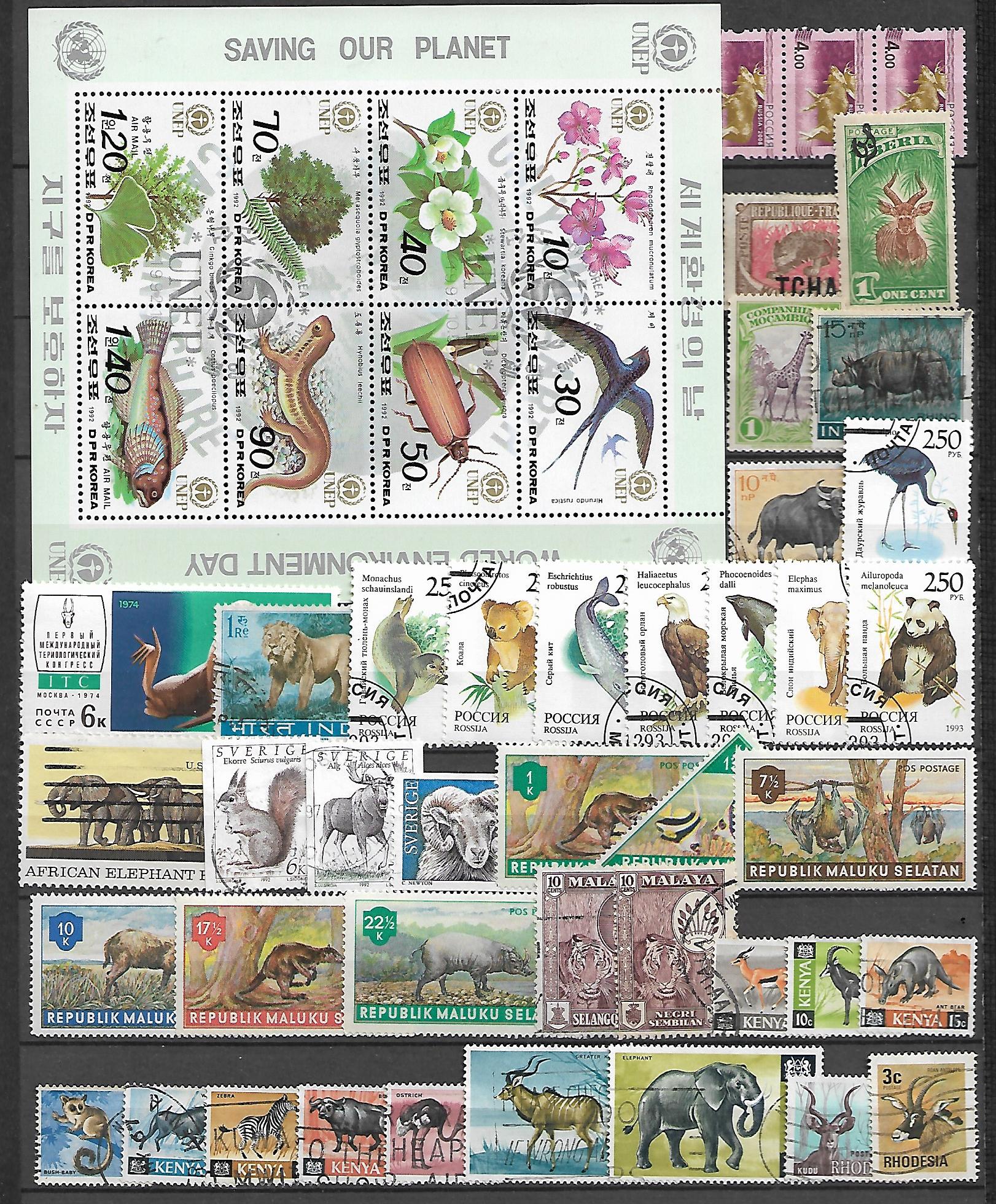 ZESTAW ZNACZKÓW ZWIERZĘTA NR 13