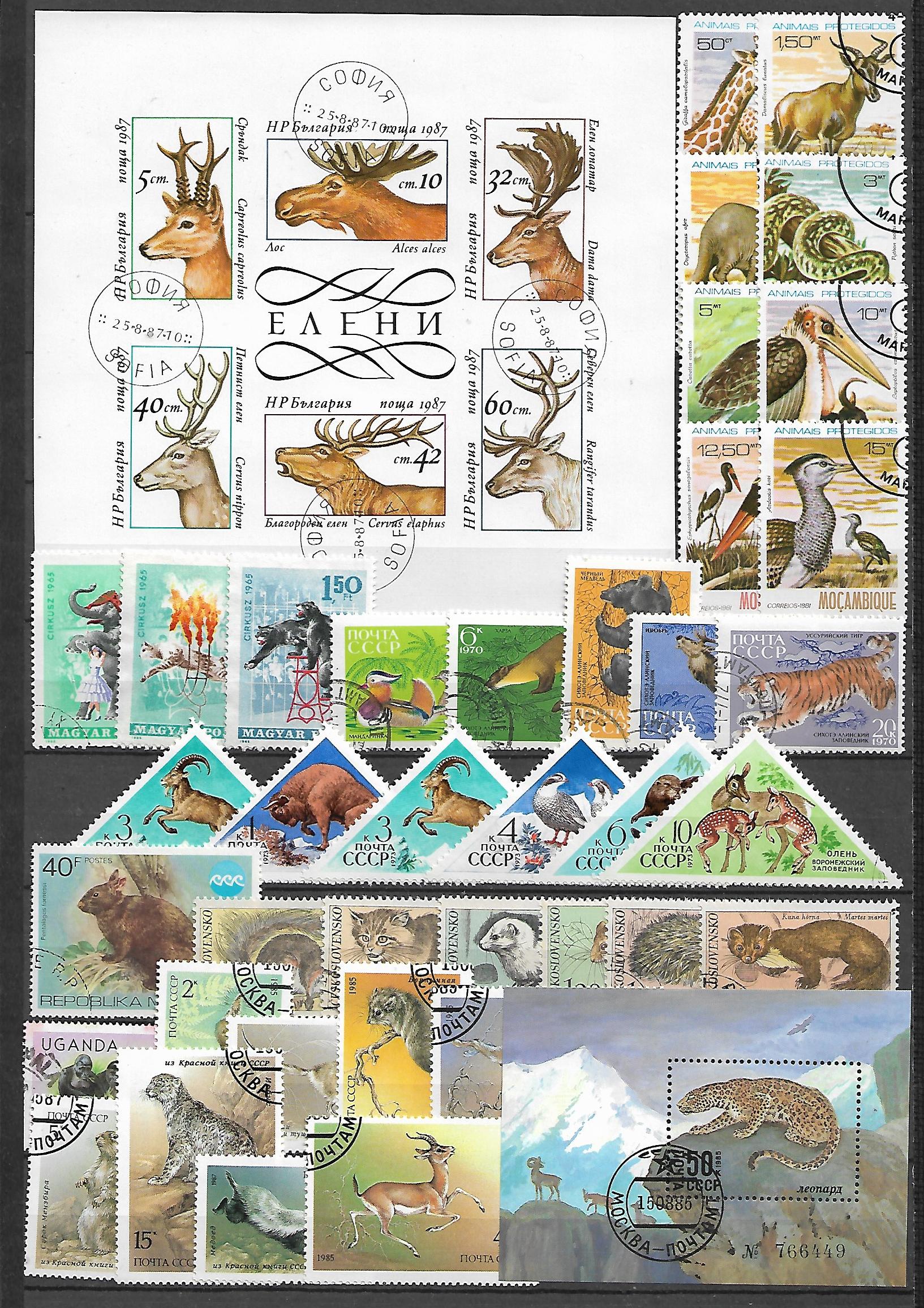 ZESTAW ZNACZKÓW ZWIERZĘTA NR 14