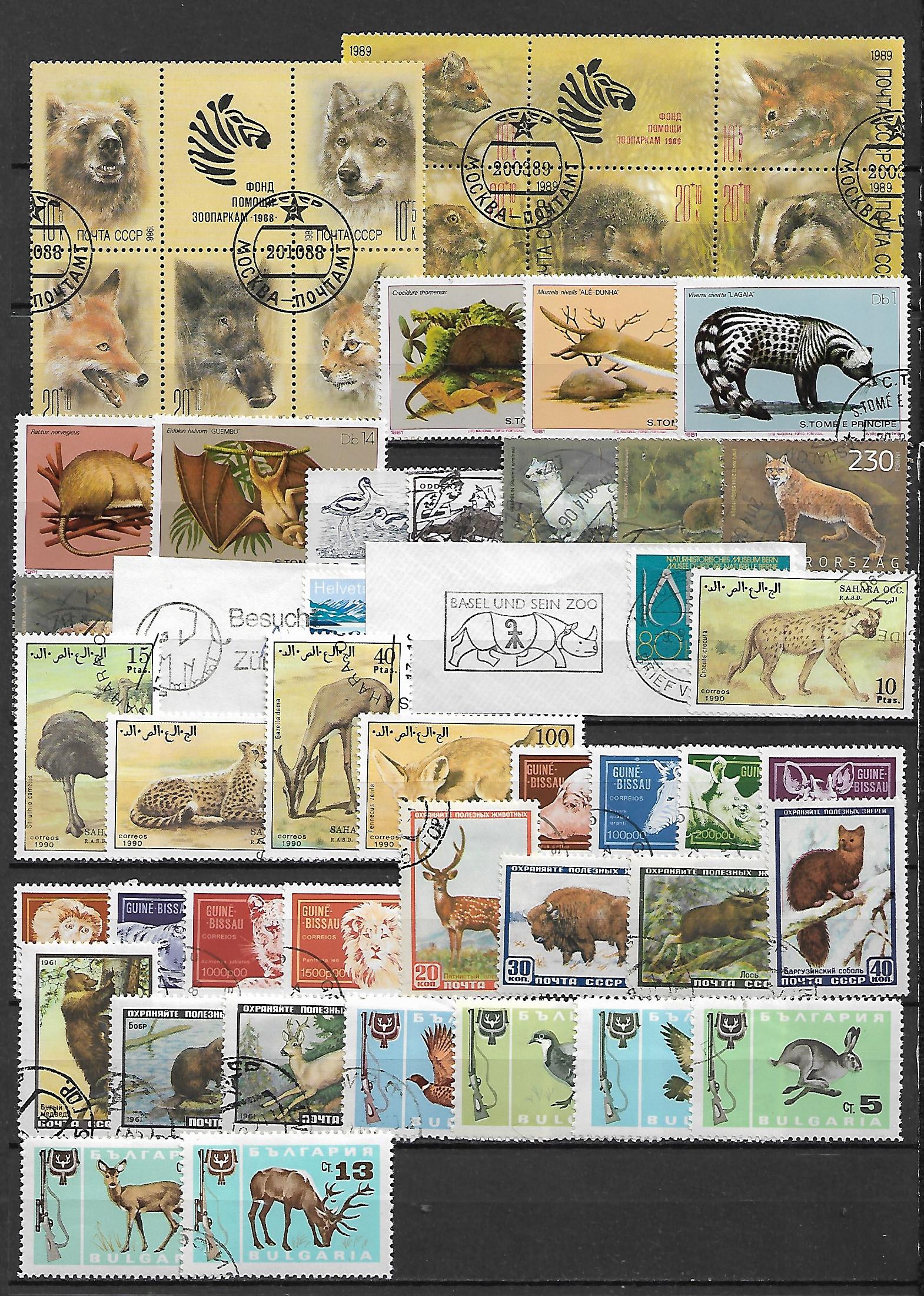 ZESTAW ZNACZKÓW ZWIERZĘTA NR 15