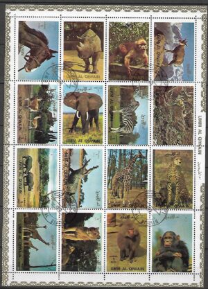 ZWIERZĘTA UMM AL QIWAIN ARK. KASOWANY