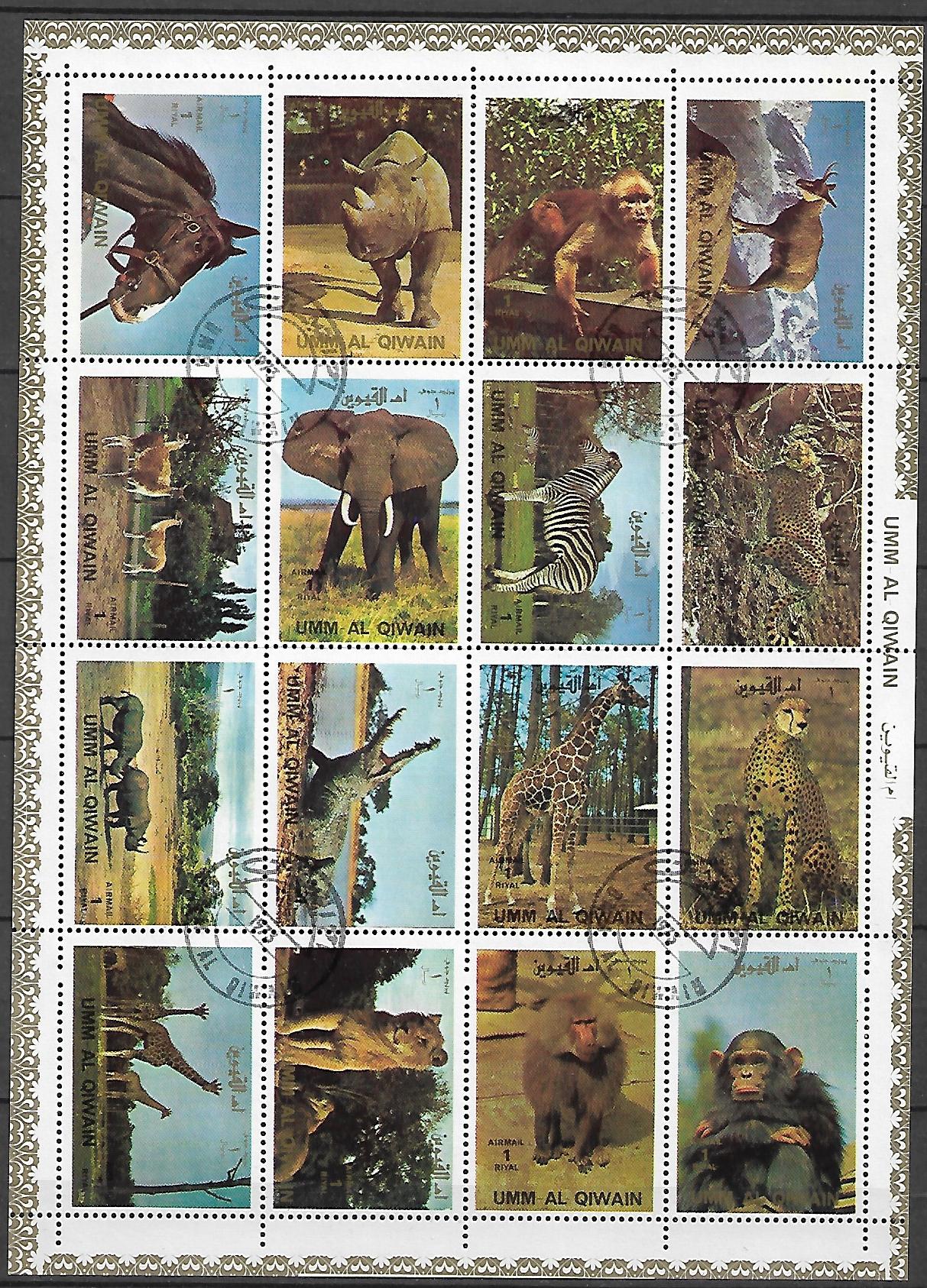 ZWIERZĘTA UMM AL QIWAIN ARK. KASOWANY