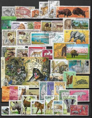 ZESTAW ZNACZKÓW ZWIERZĘTA NR 17