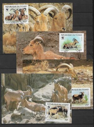 OWCA GRZYWIASTA TCHAD MI.1171-1174 KARTACH MAXMUM