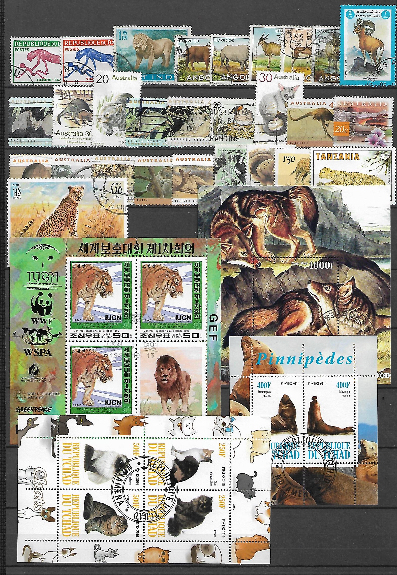 ZESTAW ZNACZKÓW ZWIERZĘTA NR 1