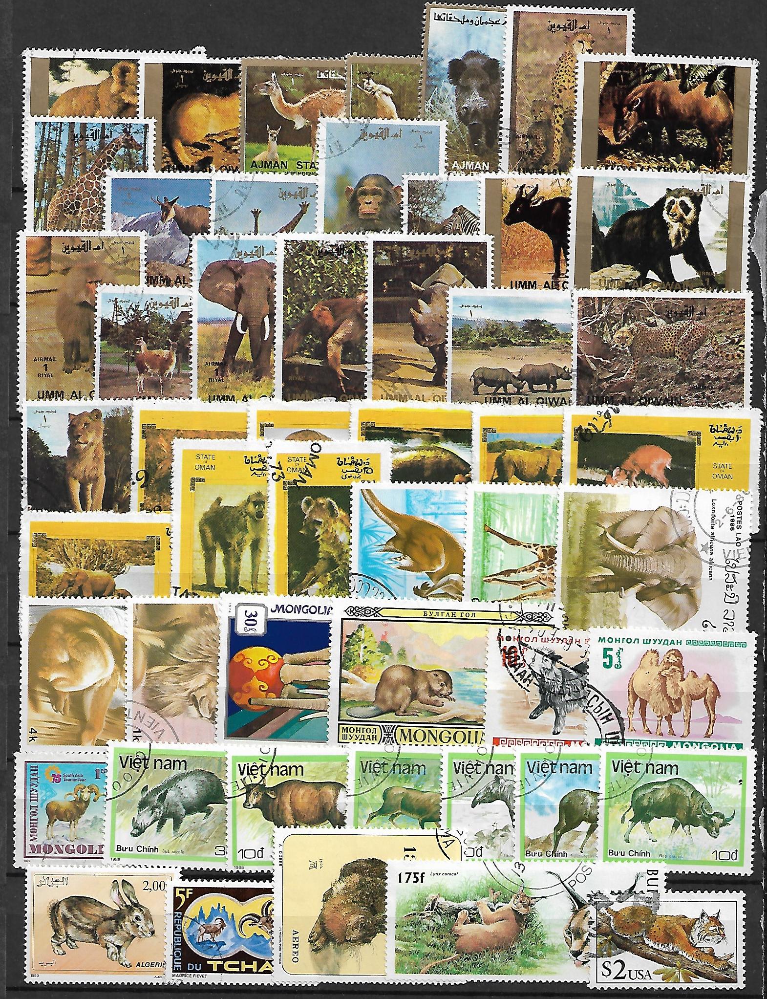 ZESTAW ZNACZKÓW ZWIERZĘTA NR 2