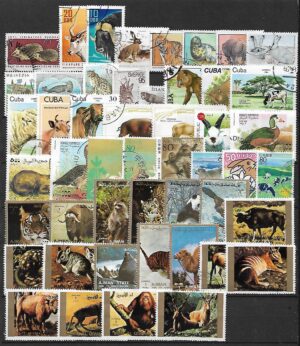 ZESTAW ZNACZKÓW ZWIERZĘTA NR 3