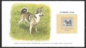 ISLANDZKI PIES ISLANDIA KOLEKCJA ZWIERZĄT ŚWIATA NA KARCIE