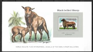 OWCA CZARNO-BRZUCHA BARBADOS KOLEKCJA ZWIERZĄT ŚWIATA NA KARCIE