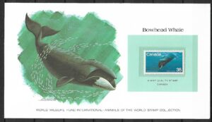 WIELORYB KANADA KOLEKCJA ZWIERZĄT ŚWIATA NA KARCIE