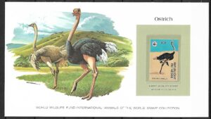 STRUSIE NIGER KOLEKCJA ZWIERZĄT ŚWIATA NA KARCIE