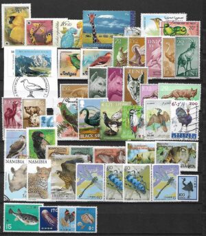 ZESTAW ZNACZKÓW ZWIERZĘTA NR 12