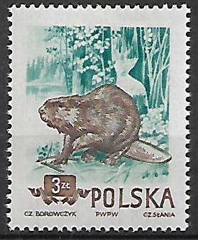 FI.746B B1** GWARANCJA  J.WALOCHA