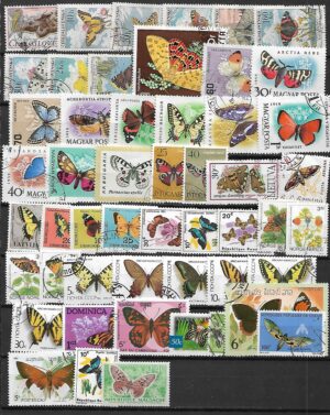 ZESTAW ZNACZKÓW MOTYLE NR 1