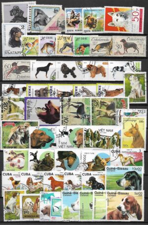 ZESTAW ZNACZKÓW PSY NR 1