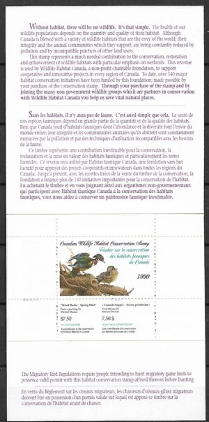 KACZKA KAROLINKA KANADA **ZESZYCIK