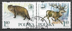 FI.3640-3639 KASOWANY