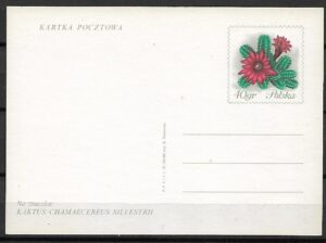 Cp.FI.436**WYSTAWA KWIATÓW-DNI ŻYWIECCZYZNY