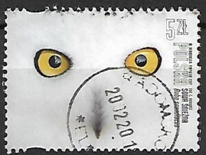 FI.4812 KASOWANY