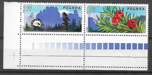 FI.2225-2226**Z PUSTO POLEM NA DOLE