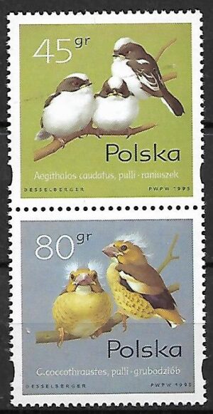 FI.3420/3422** PIONOWA