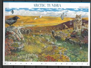 ARKTYCZNA TUNDRA USA MI.ARK.3761-3770**