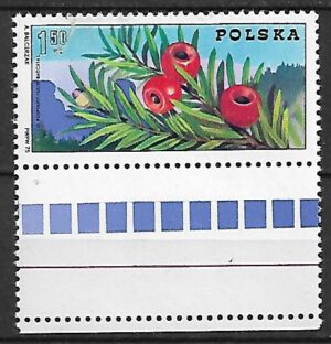 FI.2226** ZNACZEK Z PUSTO POLEM NA DOLE